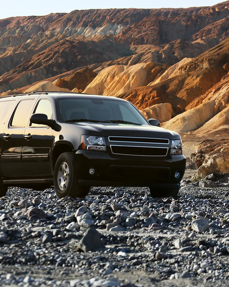 보험사별 자동차보험 상품 정보 확인